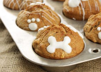 Easy & Healthy Homemade Dog Treats