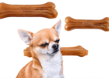 How Long Does Rawhide Take To Digest In Dog