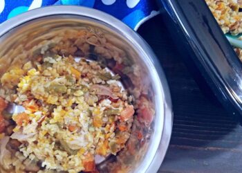10 Dog Food Recipes For Congestive Heart Failure