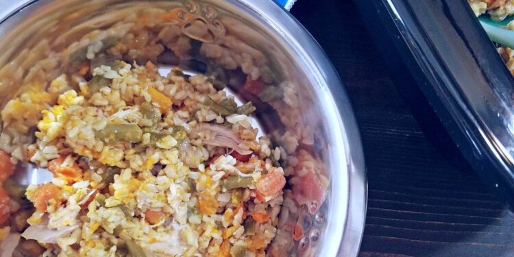 10 Dog Food Recipes For Congestive Heart Failure