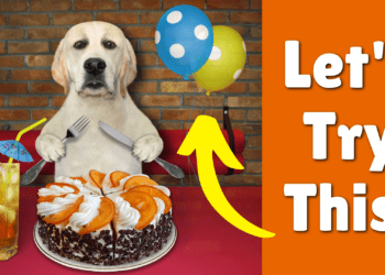 What Happens If Your Dog Eats A Balloon?