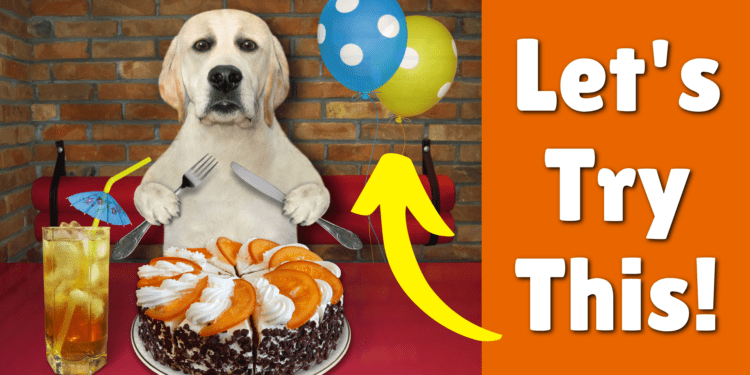 What Happens If Your Dog Eats A Balloon?