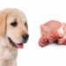 Can Dogs Eat Pork?