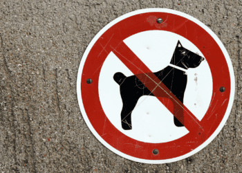 Breeds Typically Restricted from Apartments