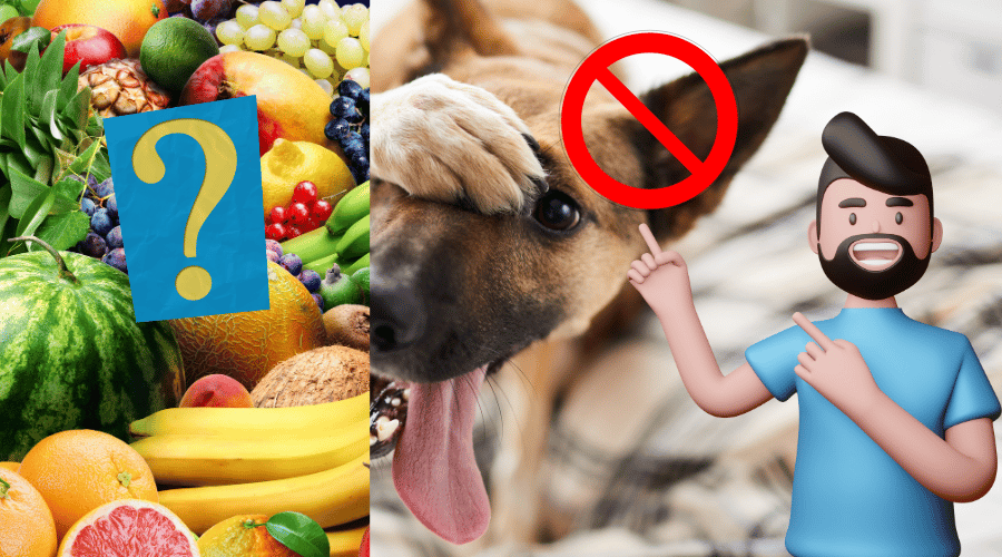 What Fruits Are Bad For Dogs