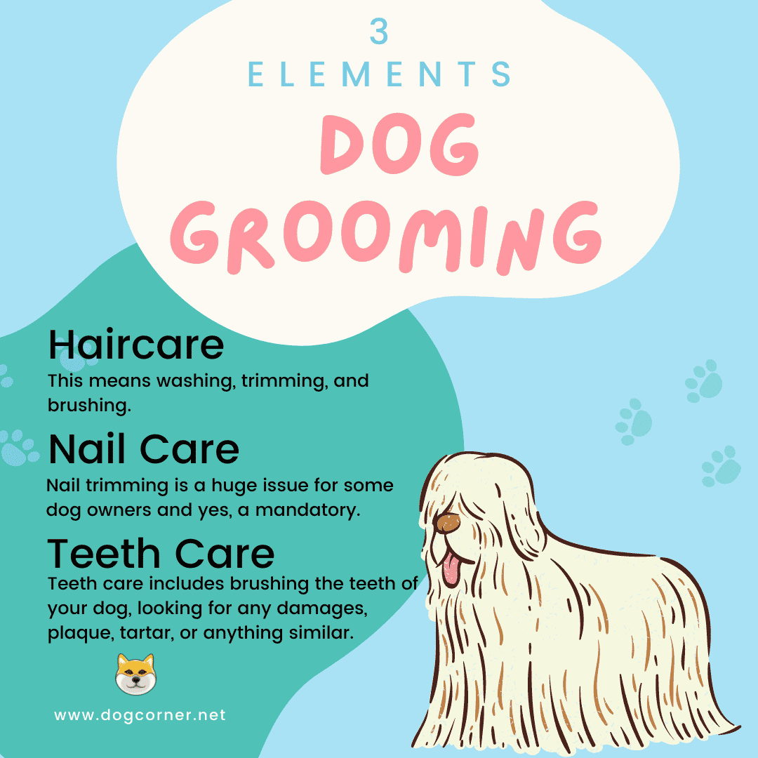 Elements Of Dog Grooming
