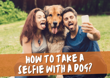 How to take a selfie with a dog
