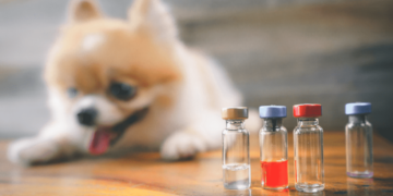 Dog Acting Weird After Rabies Shot