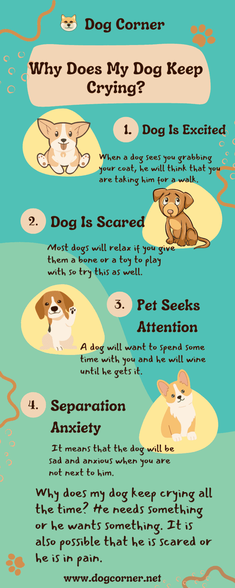 Why Does My Dog Keep Crying? Dog Corner