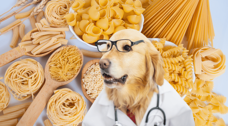 Can You Feed Dogs Pasta
