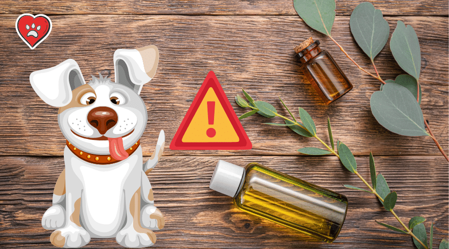 Eucalyptus Essential Oil Safe for Dogs