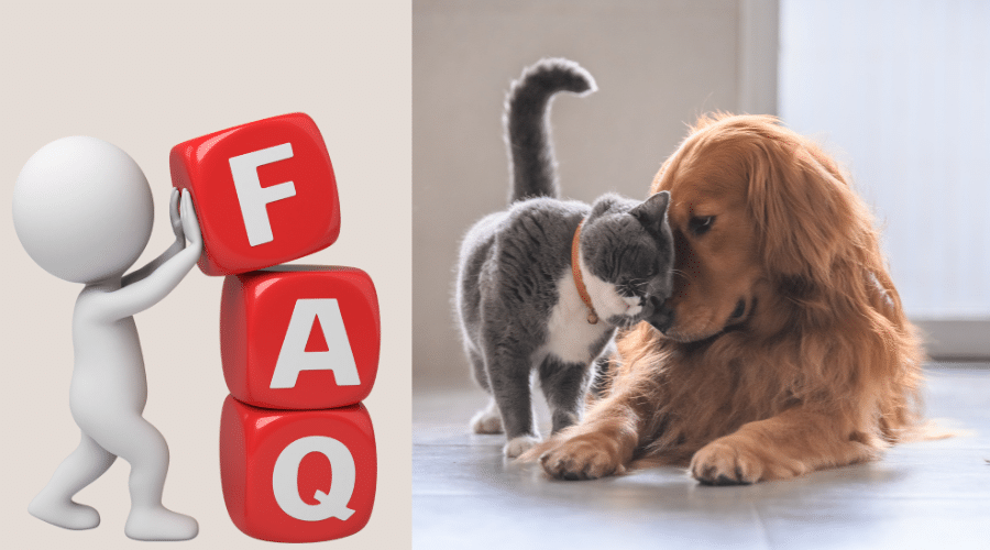 How To Keep Dogs Out Of Cat Food FAQs
