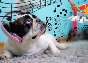 Impact of Music on Dogs