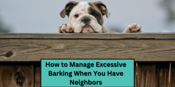 How to Manage Excessive Barking When You Have Neighbors
