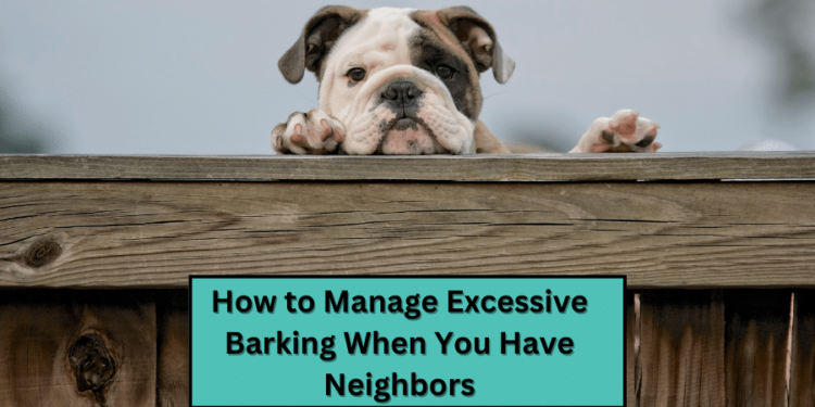 How to Manage Excessive Barking When You Have Neighbors