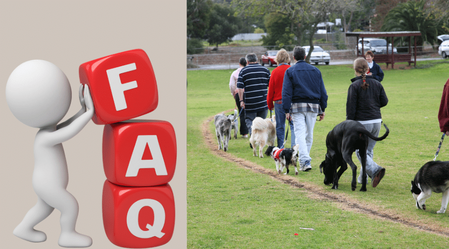 Training Older Dogs faqs