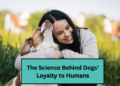 The Science Behind Dogs’ Loyalty to Humans