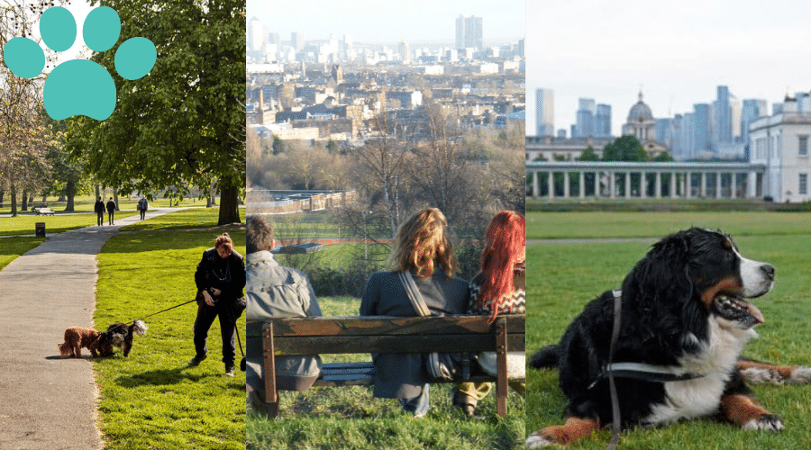 Top 5 Dog Parks in London