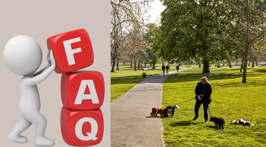 FAQs Best Dog Parks in London