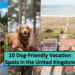 10 Dog-Friendly Vacation Spots in the United Kingdom