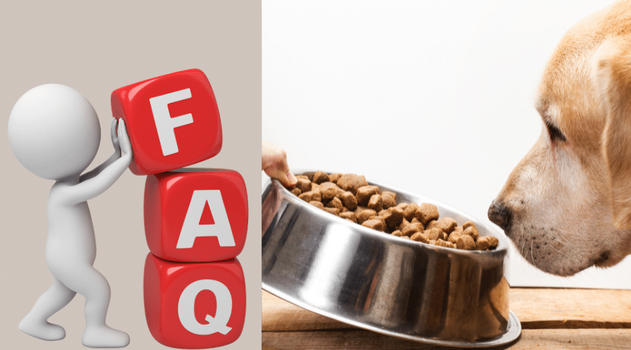 Signs Your Dog Might Have Food Allergies