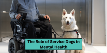 The Role of Service Dogs in Mental Health