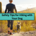Safety Tips for Hiking with Your Dog