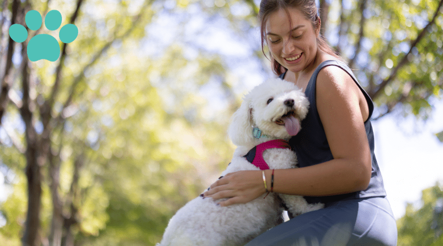 Managing Fear Aggression in Small Breeds