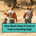 How Much Does It Cost to Train a Hunting Dog