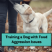 Training a Dog with Food Aggression Issues