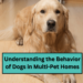 Understanding the Behavior of Dogs in Multi-Pet Homes