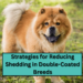 Strategies for Reducing Shedding in Double-Coated Breeds