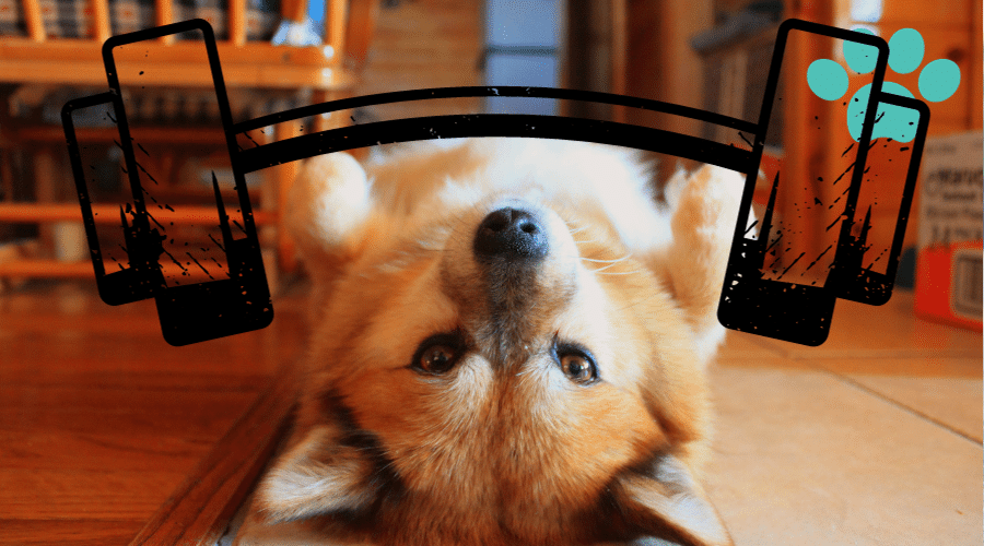 Incorporating Play into Exercise Routines