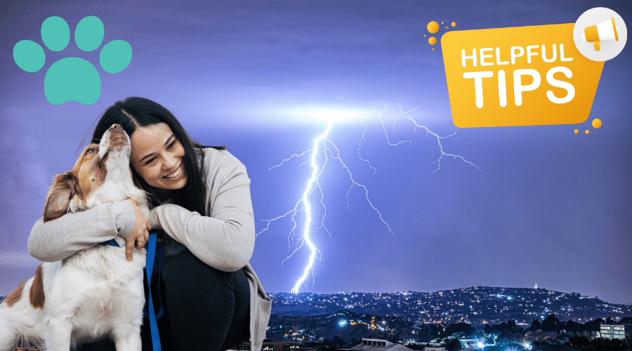 tips for Dogs for Thunderstorm Season