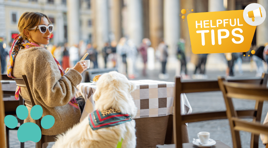 Safe Outdoor Adventures with Your Dog