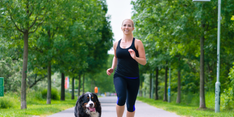 Exercises for Senior Dogs