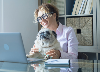 How To Keep a Dog Active While At Work