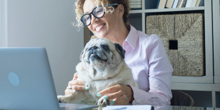 How To Keep a Dog Active While At Work