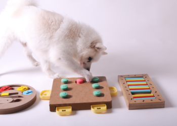 Key Features of the Program