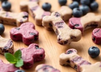 Homemade Blueberry Frozen Dog Treats