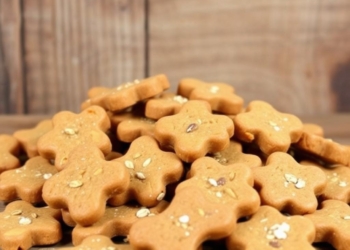 Low-Calorie Homemade Dog Treats