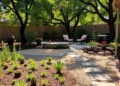 Low-Maintenance Grass-Free Backyard Ideas for Dog Owners