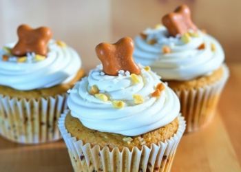 How to Make Dog Cupcakes