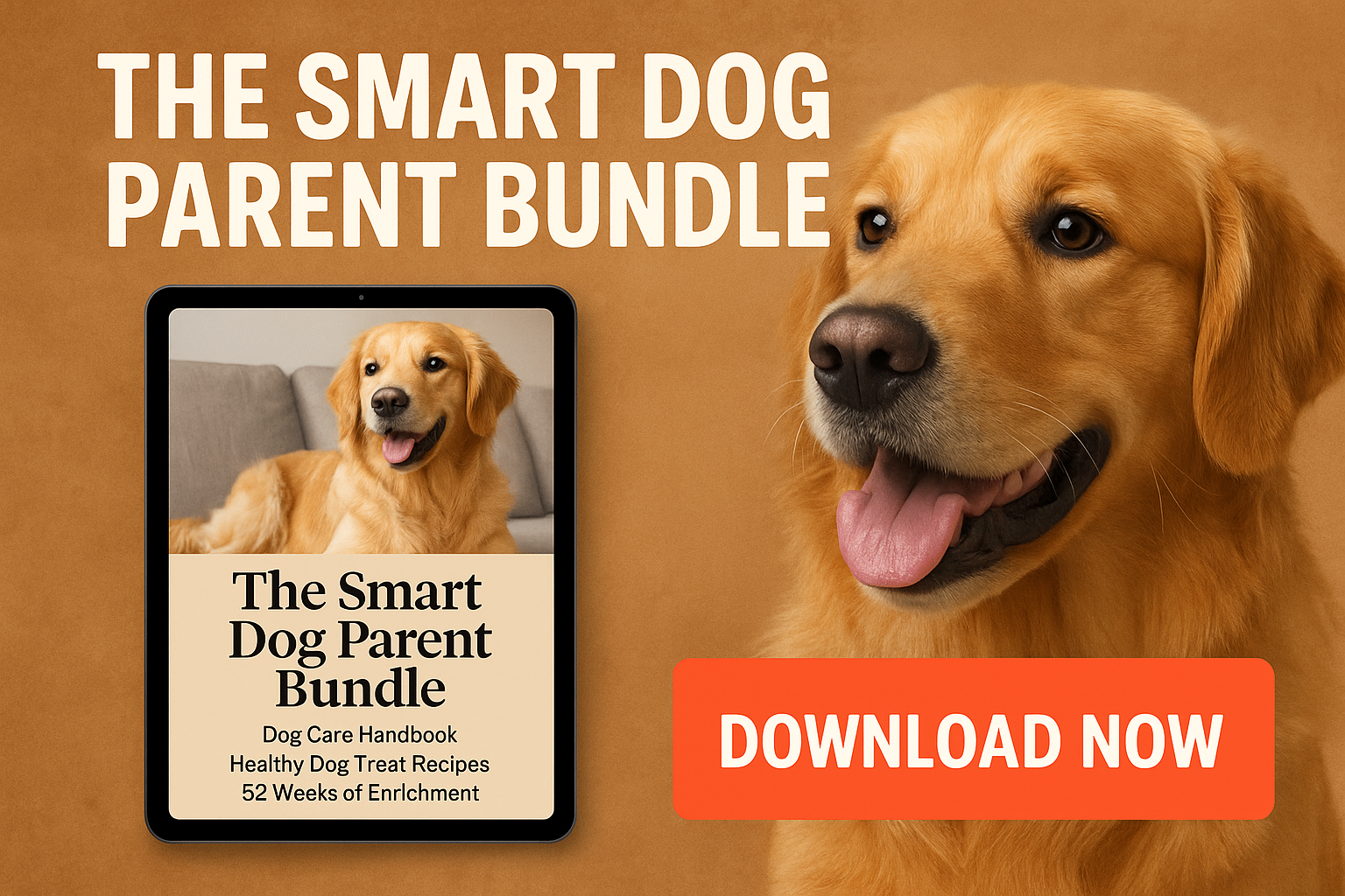 The Smart Dog Parent Bundle