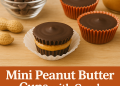 carob mini peanut butter cups