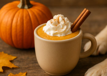Pumpkin Spice Latte for Dogs