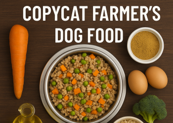 How to Make a Copycat of The Farmer’s Dog Food